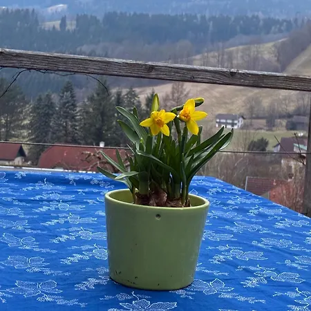 Kleines Paradies Am Gries דירה *