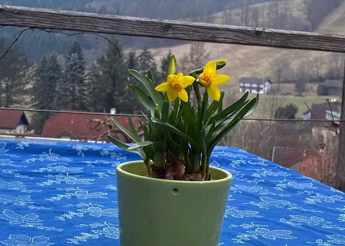 Kleines Paradies Am Gries דירה *